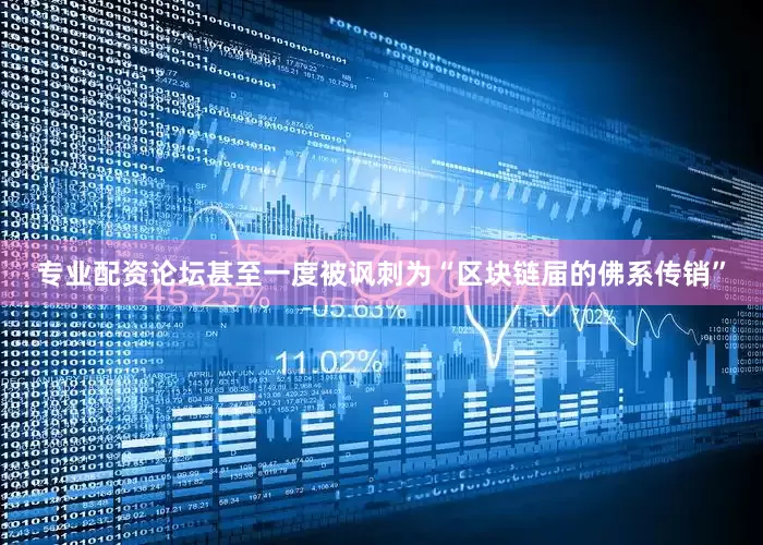 专业配资论坛甚至一度被讽刺为“区块链届的佛系传销”