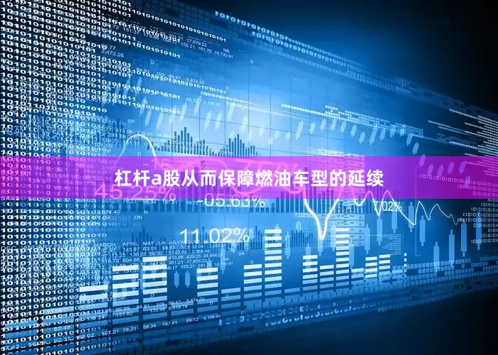 杠杆a股从而保障燃油车型的延续